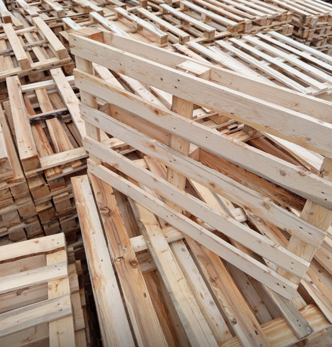 Поддон стандарт (типовой)