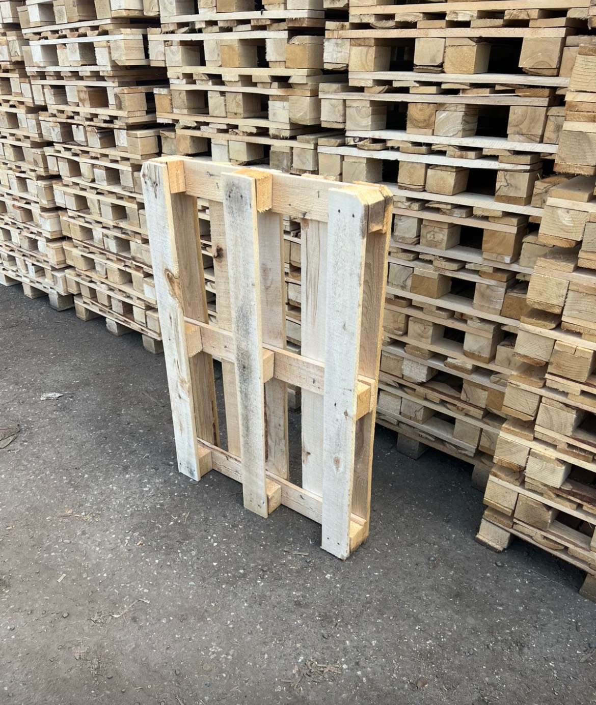 Поддон стандарт (типовой)